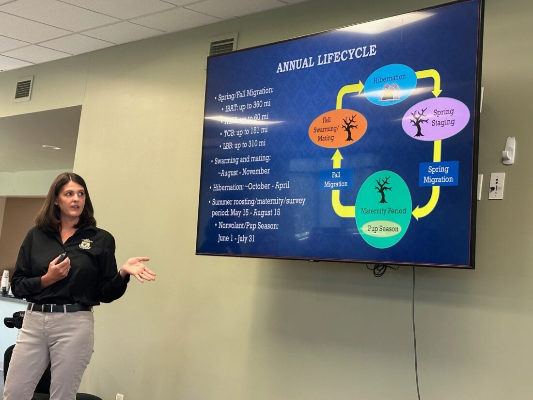 Habitat Conservation Plans have potential for helping bats News